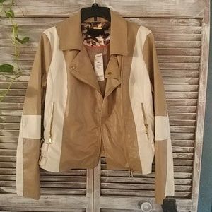 🆕 Steve Madden Jacket From Buckle
